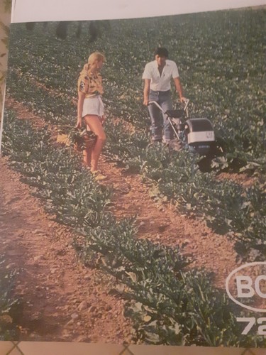 Brochure motocoltivatore bcs - motocoltivatore,